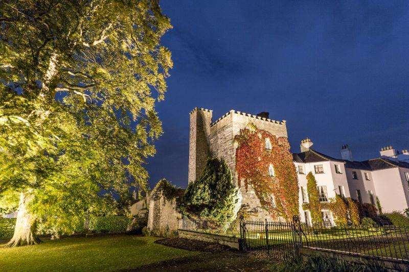 Barberstown Castle Hotell Straffan Exteriör bild